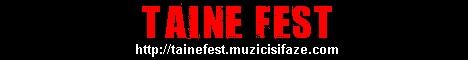 Taine Fest banner